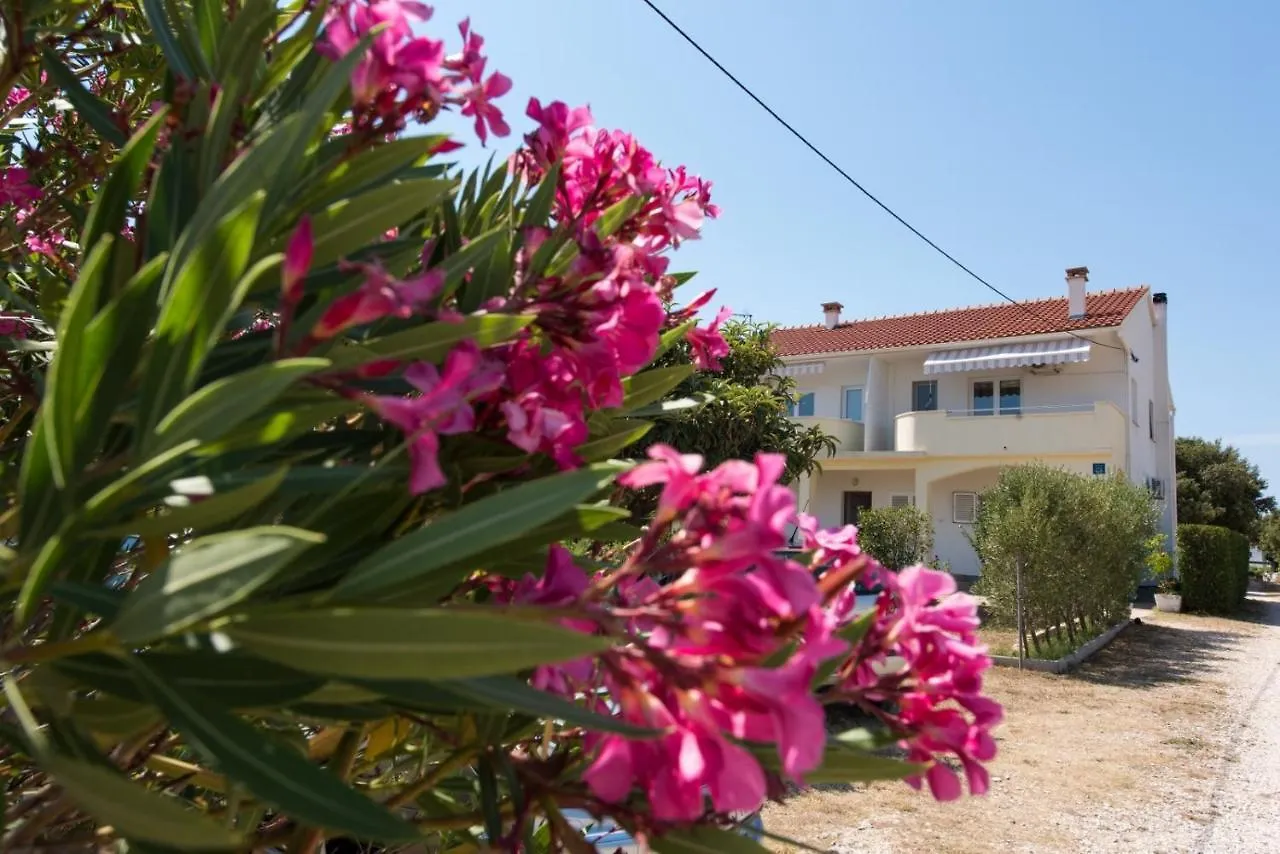 Apartments By The Sea Petrcane, Zadar - 17342  Petrcane